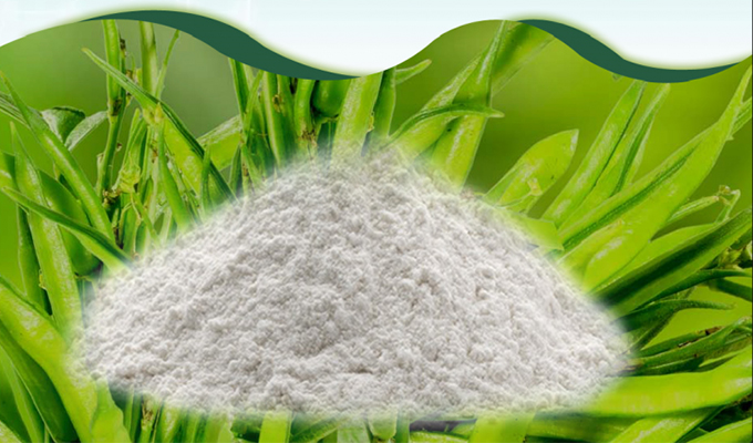 Guar Gum Powder