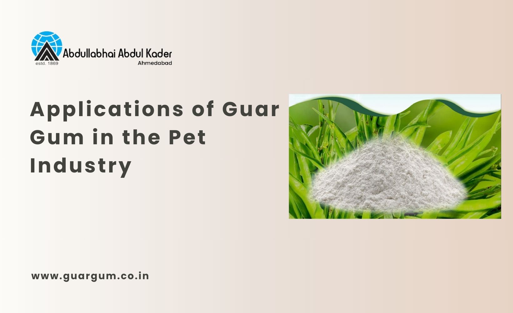 Guar Gum