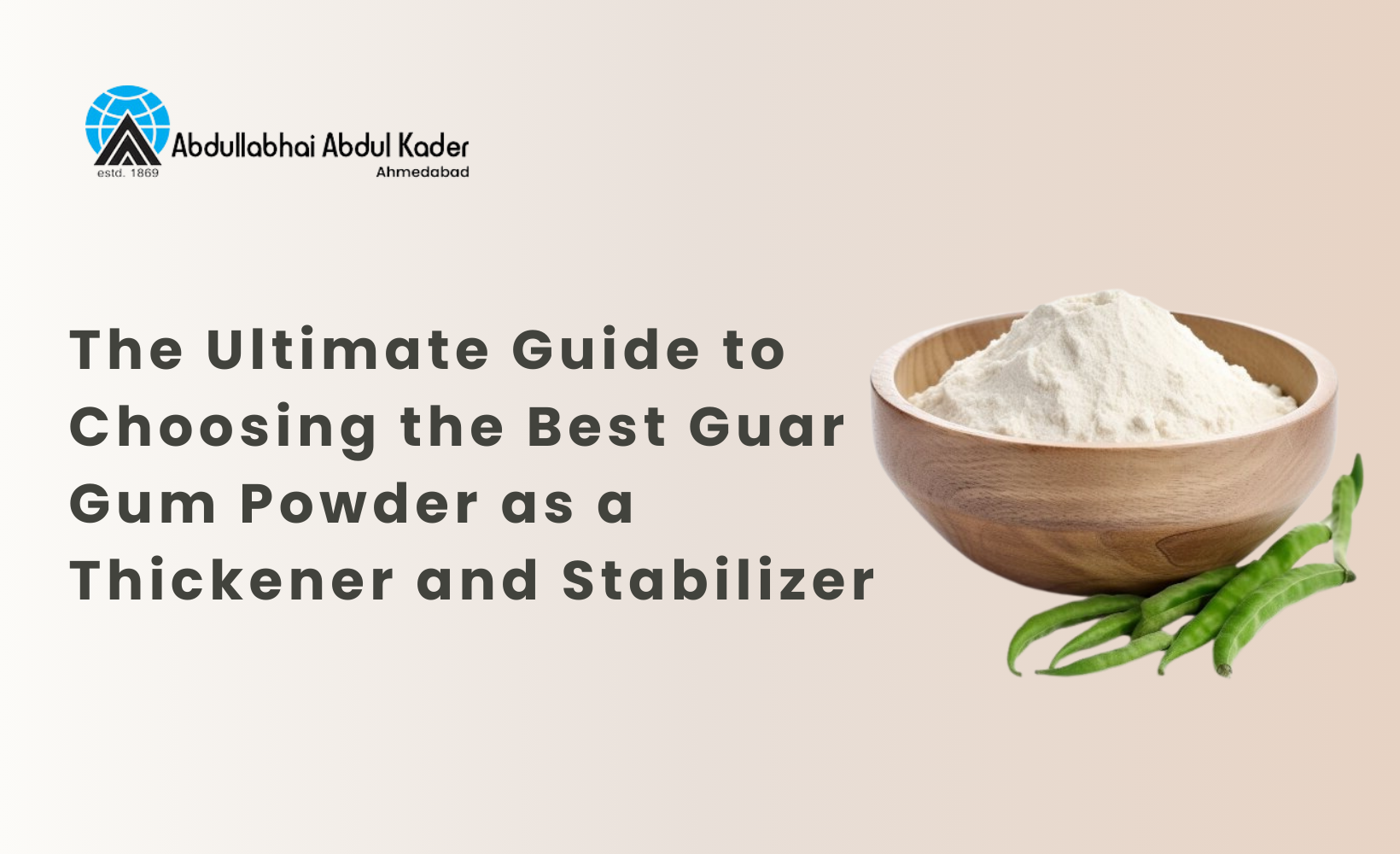 Best Guar Gum Powder as a Thickener and Stabilizer