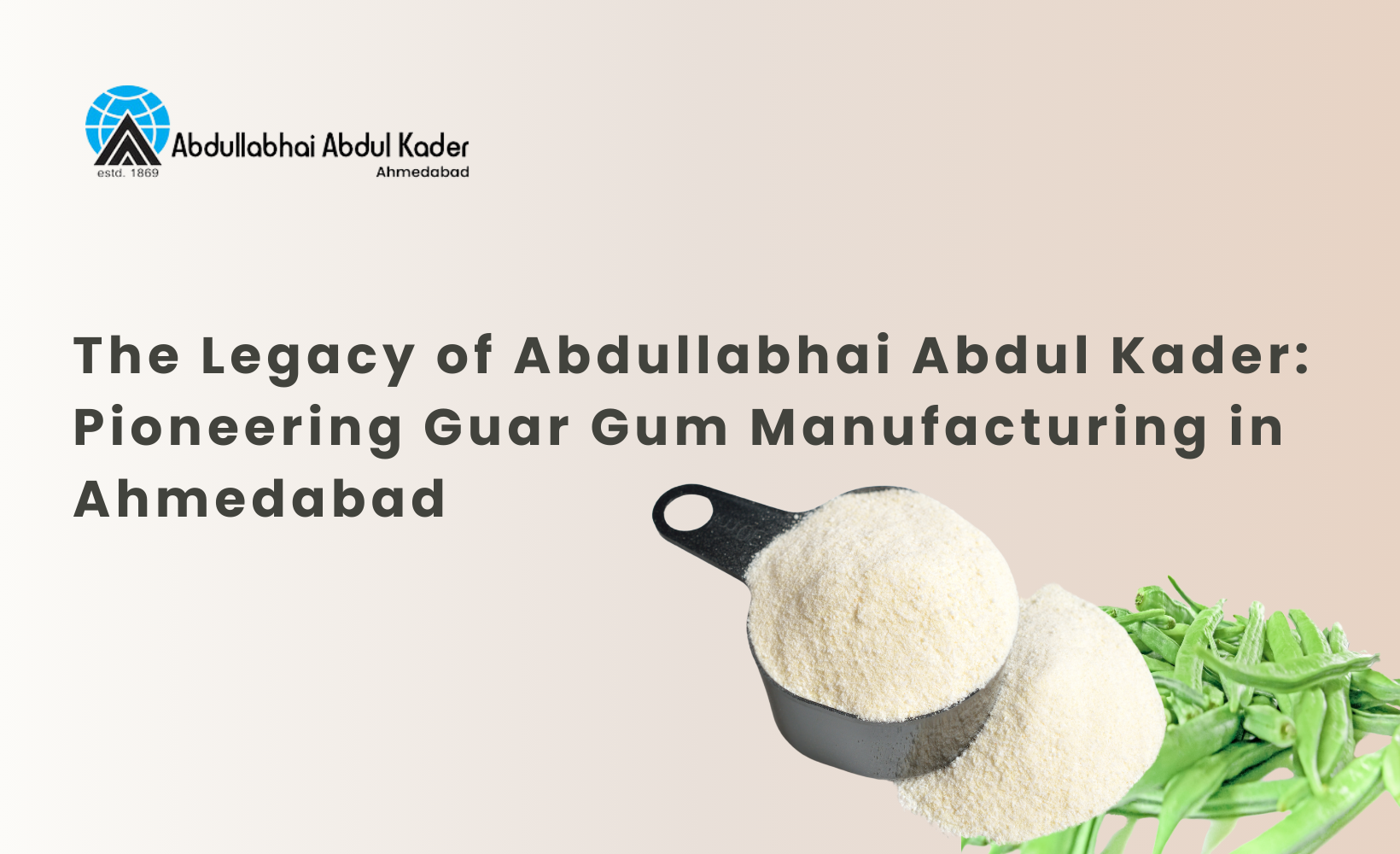 Pioneering Guar Gum Manufacturing in Ahmedabad