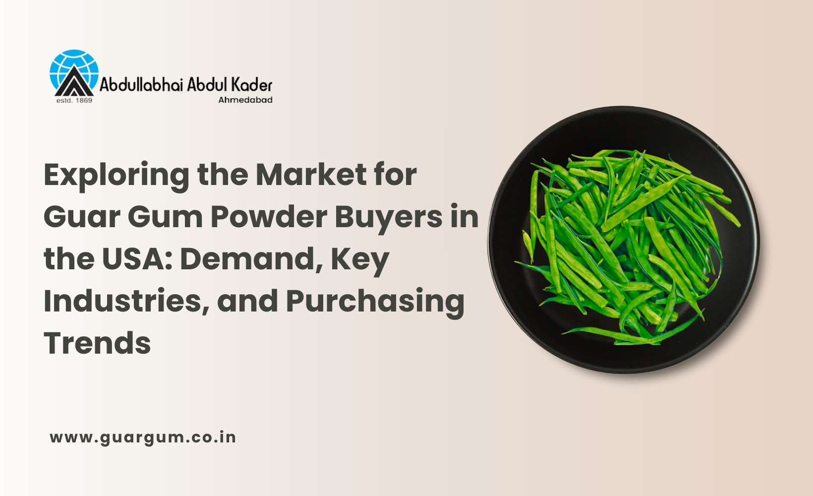 Exploring the Market for Guar Gum Powder Buyers in the USA: Demand, Key Industries, and Purchasing Trends