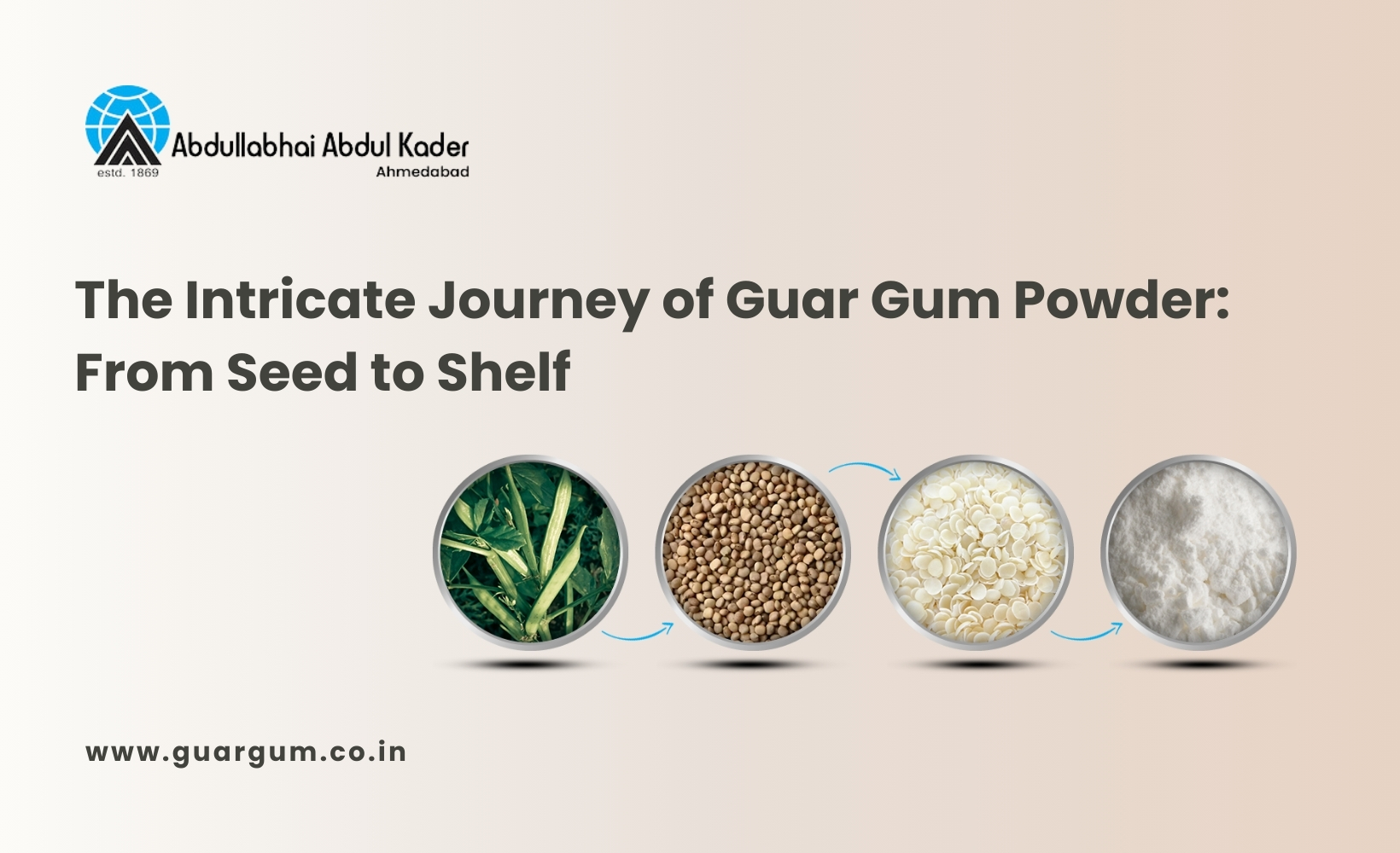 The Intricate Journey of Guar Gum Powder From Seed to Shelf