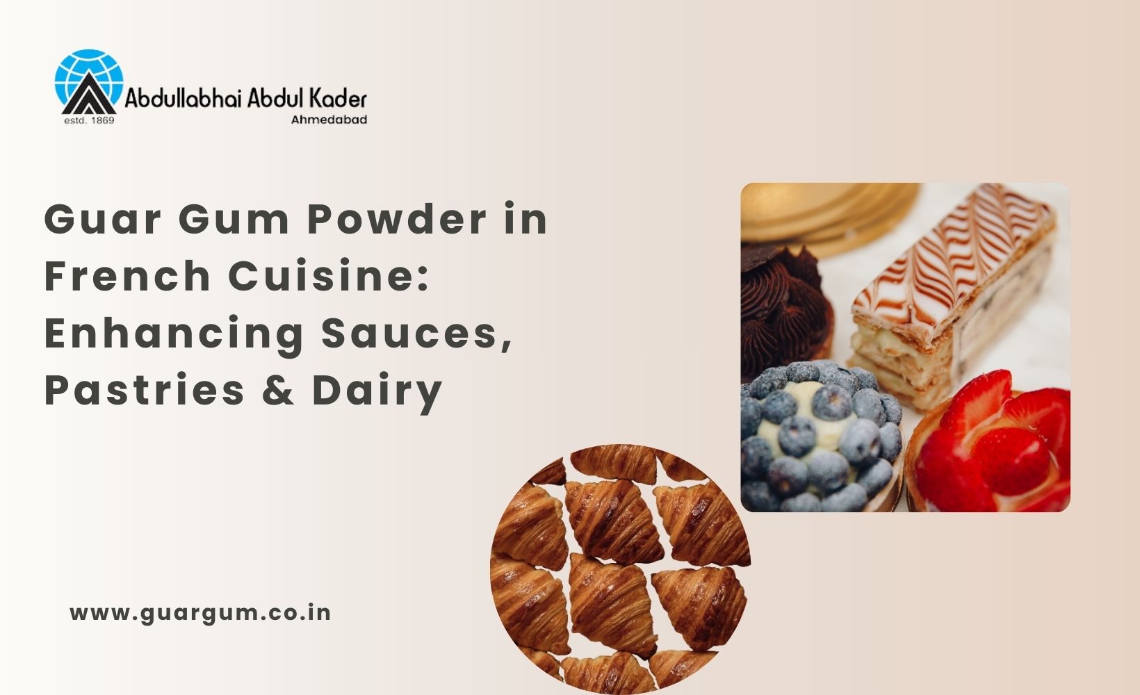 Guar Gum Powder in French Cuisine: Enhancing Sauces, Pastries & Dairy