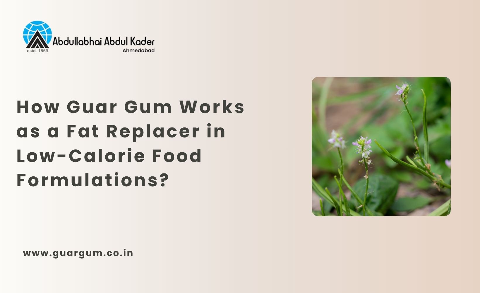 Guar Gum as a Fat Replacer