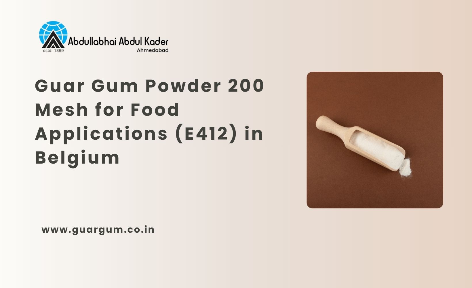 Guar Gum Powder 200 Mesh for Food Applications (E412) in Belgium