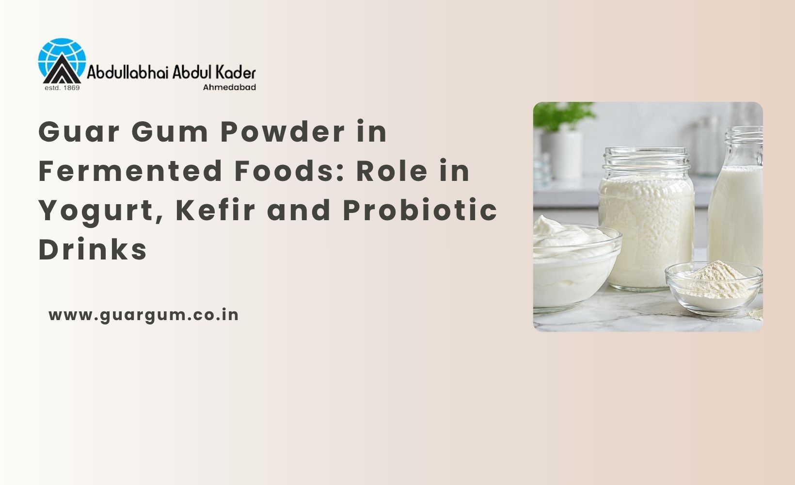 Guar Gum Powder in Fermented Foods: Role in Yogurt, Kefir and Probiotic Drinks