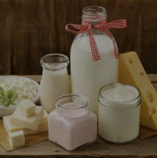 Guar Gum Powder Used in Dairy Products