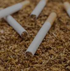 Guar Gum Powder Used in Tobacco