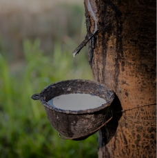 Guar Gum Used in Rubber and Latex Products