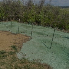 Guar Gum in Hydroseeding