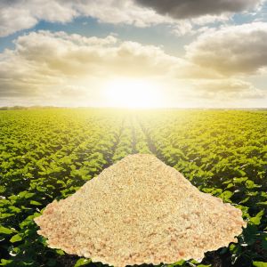 Guar-Gum-Powder