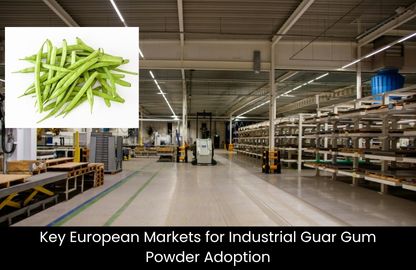 Industrial Guar Gum Powder