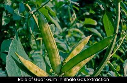 Role Guar Gum in Shale Gas Extraction