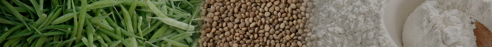 guar-gum-powder