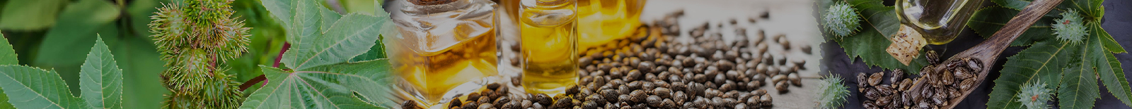 Castor Oil