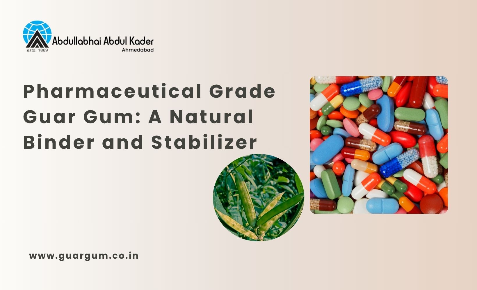 Pharmaceutical Grade Guar Gum for Tablets, Capsules & Drug Formulations