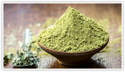 Henna Powder Manufacturer and Supplier