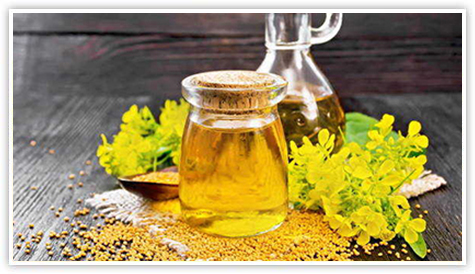 Mustard Oil Manufacturer