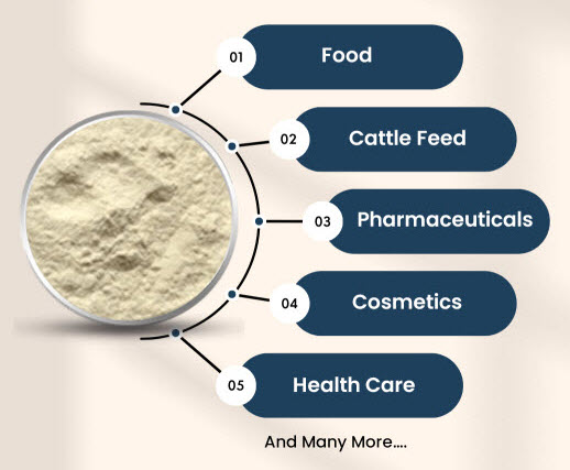 Guar Gum Powder Applications