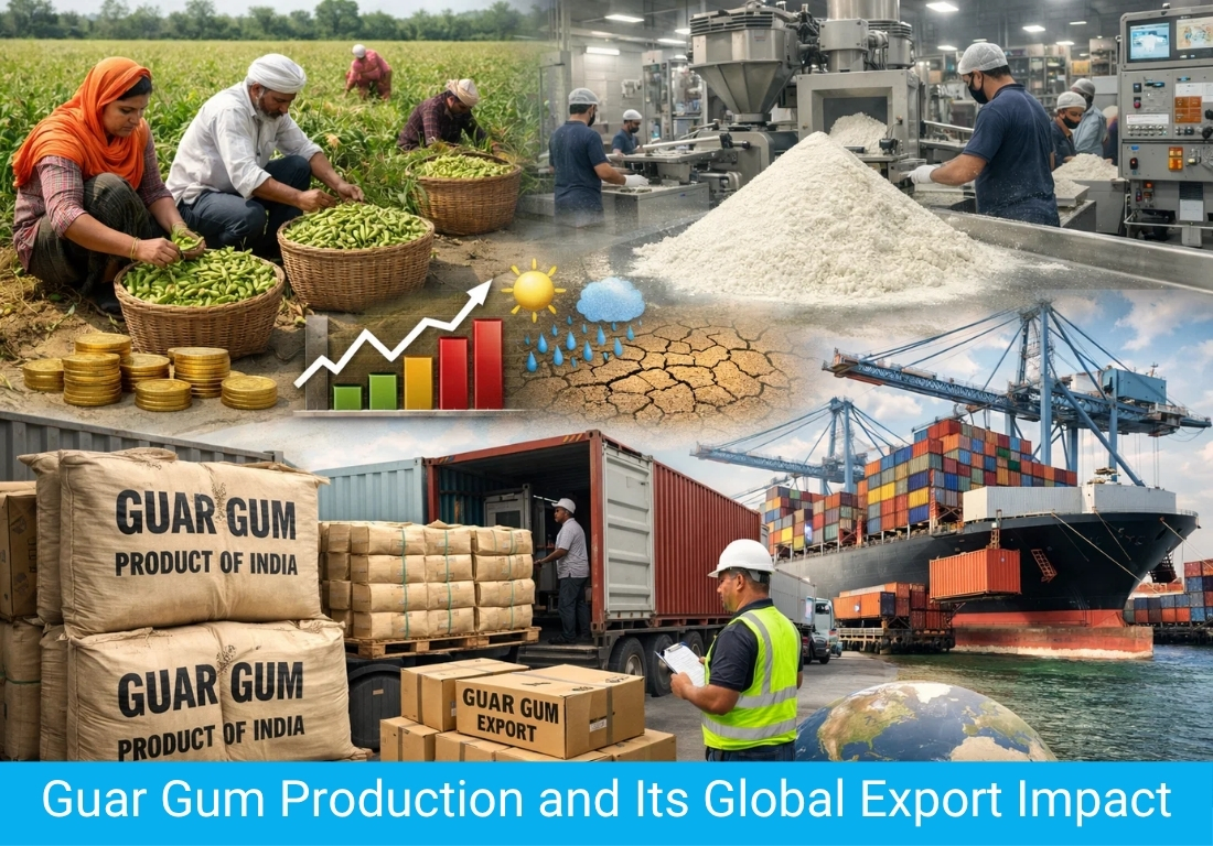 Guar Gum Production and Its Global Export Impact